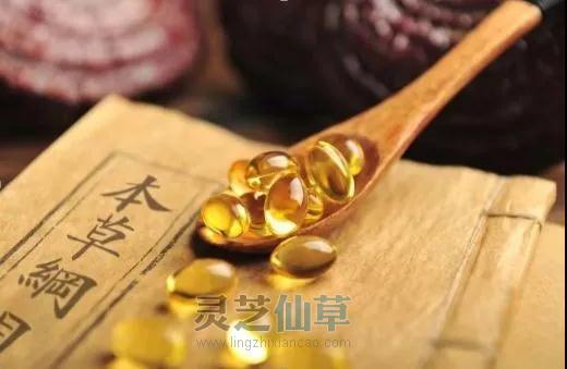 改善三高症状，为什么首选灵芝孢子油？