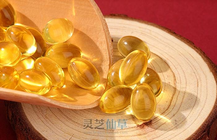 比较孢子油好坏，别只看三萜，灵芝原料品质很重要！