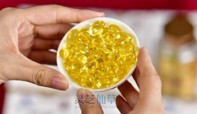 能一味成方的灵芝孢子油才是好的孢子油