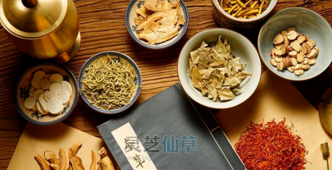能一味成方的灵芝孢子油才是好的孢子油