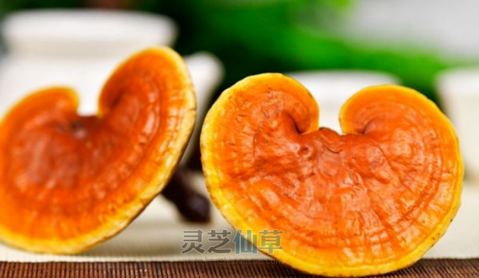 能一味成方的灵芝孢子油才是好的孢子油