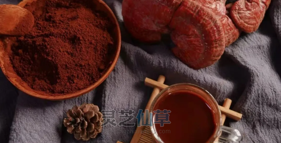 一文全面了解灵芝的功效和作用，灵芝吃法用法知识汇总