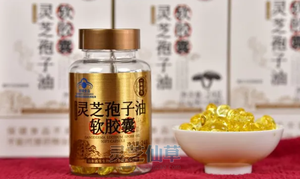 灵芝孢子油对肝部的功能阐述 灵芝孢子油对肝部的功能阐述