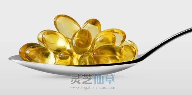 灵芝孢子油的作用有哪些? 灵芝孢子油的作用有哪些?