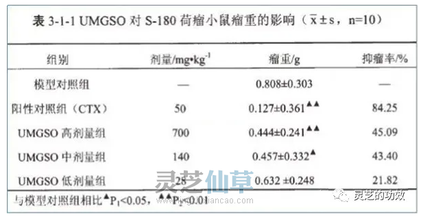 灵芝孢子油对肝部的功能阐述 灵芝孢子油对肝部的功能阐述