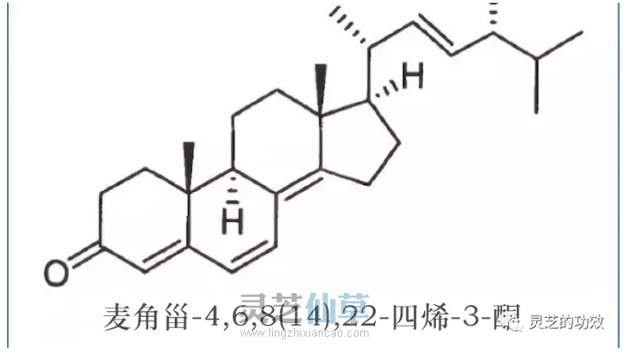 灵芝孢子油对肝部的功能阐述 灵芝孢子油对肝部的功能阐述
