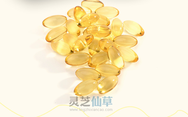 日本核污水排海！灵芝能抗辐射吗？