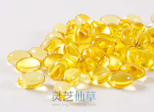 灵芝孢子油的作用有哪些? 灵芝孢子油的作用有哪些?