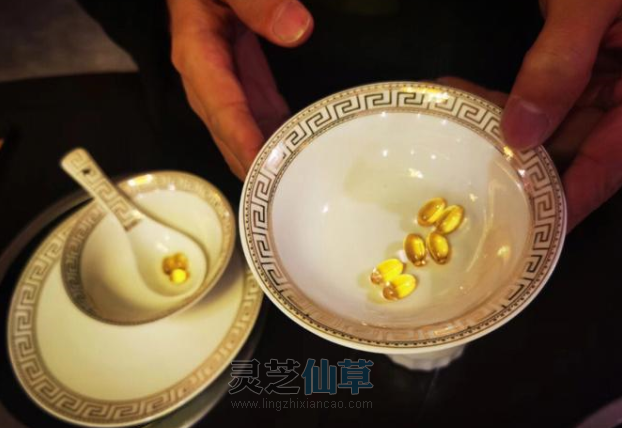 吃好就一定能吸收好？灵芝孢子油告诉你消化系统怎么养护！
