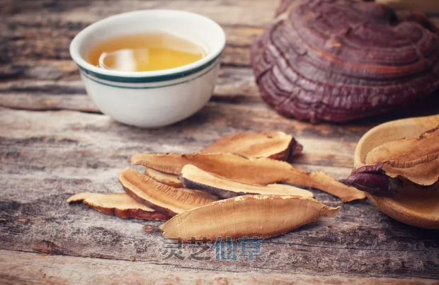 吃灵芝后的反应也能查出身体的病症？附：【反应症状速查表】