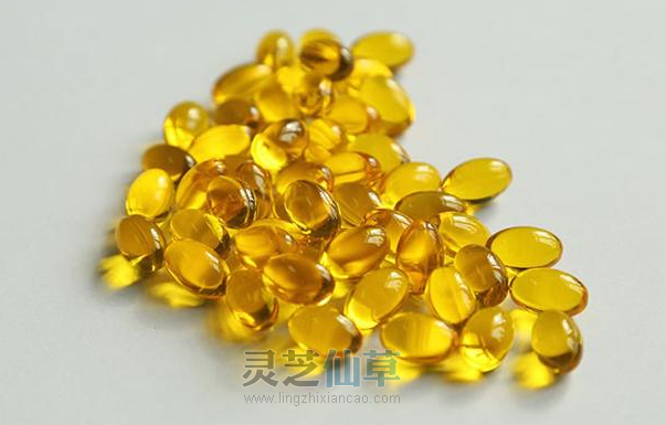 灵芝孢子油与人类三大“重症”疾病不为人知的关系！