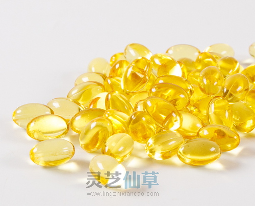 吃好就一定能吸收好？灵芝孢子油告诉你消化系统怎么养护！