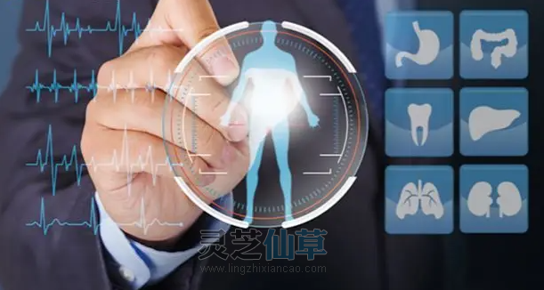 灵芝强化免疫的“三道关” 灵芝强化免疫的“三道关”