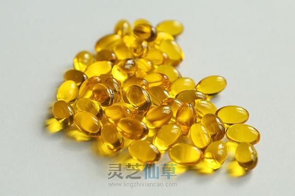 为什么说灵芝孢子油更适用于更年期女性