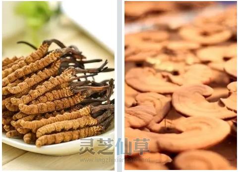 癌症与基因丨一文读懂癌症发生与防治的真相！