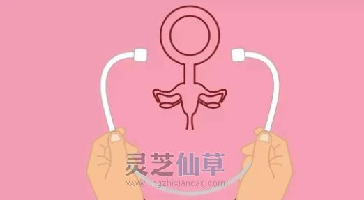 患了妇科肿瘤，服用灵芝有效果吗？