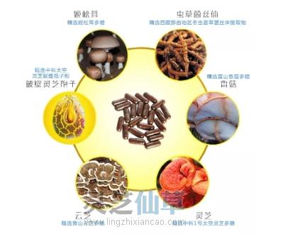癌症与基因丨一文读懂癌症发生与防治的真相！