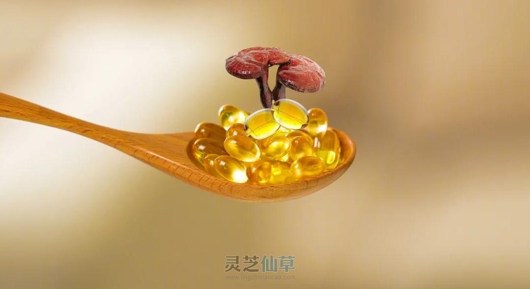 肿瘤治疗要历经三个阶段，康复期要防卷土重来！