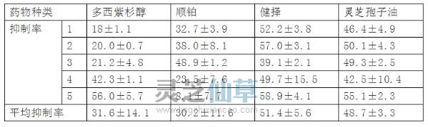 一文读懂灵芝孢子油和化疗药的区别！（收藏）