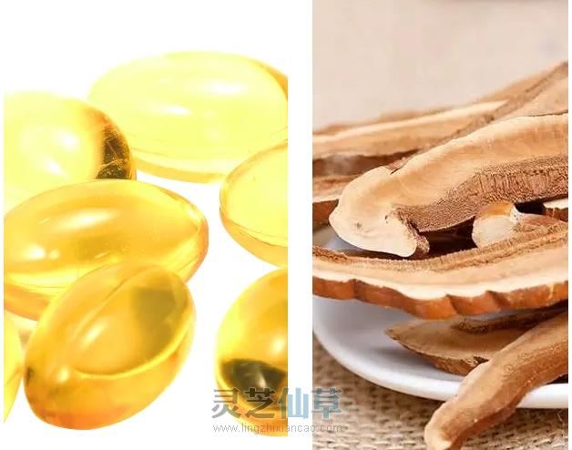 一文读懂灵芝孢子油和化疗药的区别！（收藏）