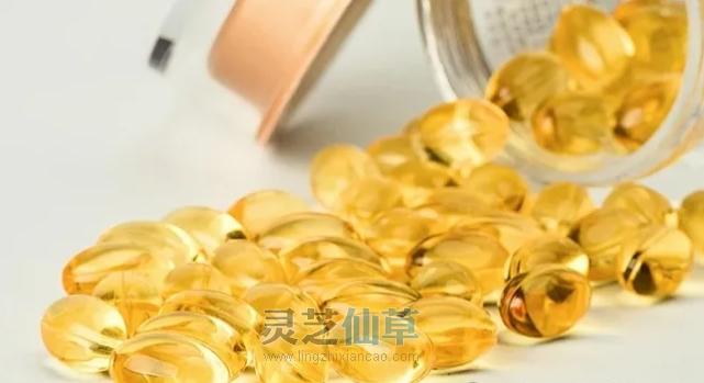 困乏劳累？一粒灵芝孢子油让细胞焕发活力！