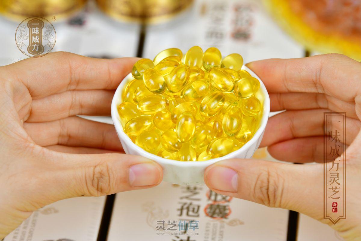 值得信赖的灵芝孢子油品牌推荐