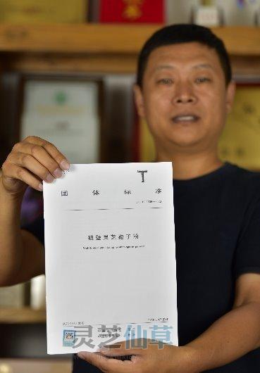科普：选择灵芝孢子油的标准是什么？