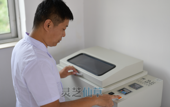一味成方：灵芝孢子油对肝部的功能阐述