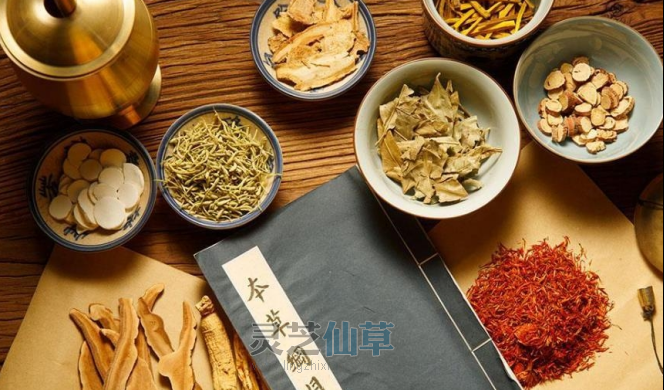 能一味成方的灵芝孢子油才是好的孢子油！