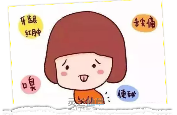 吃灵芝上火吗？看完这篇文章你就有答案了！