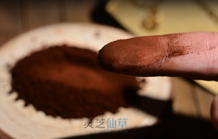 为什么都说灵芝孢子粉是“人人健康”的食宝？
