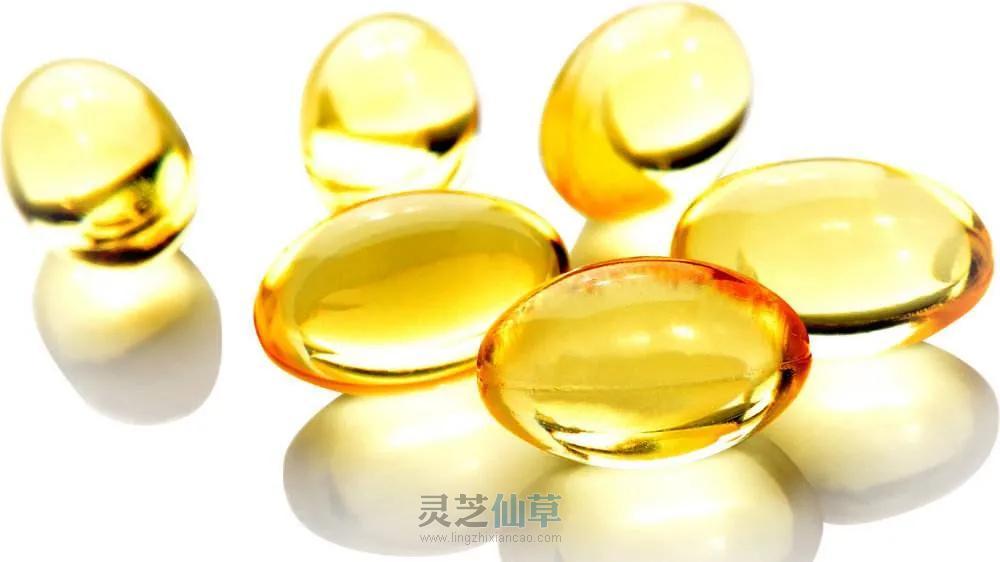 有食欲，饭量增，灵芝孢子油让你吃得香！