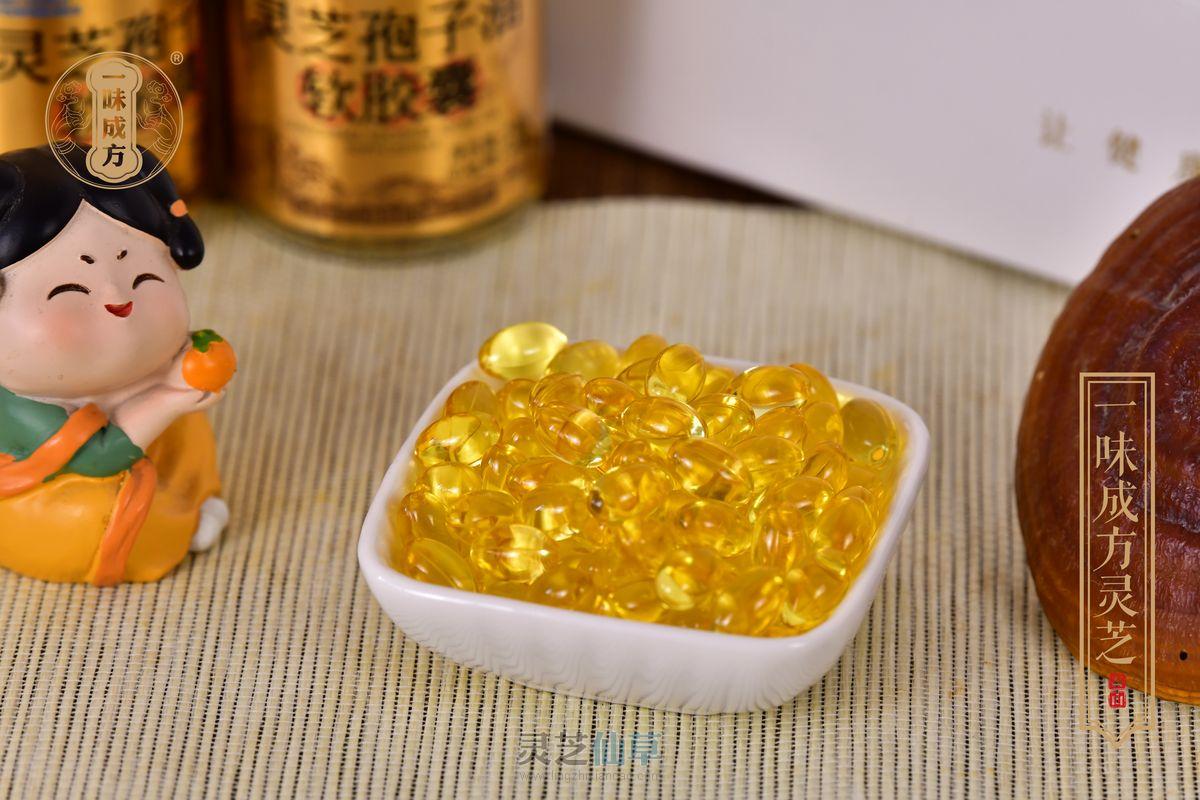 灵芝孢子油中三萜含量多少比较好？