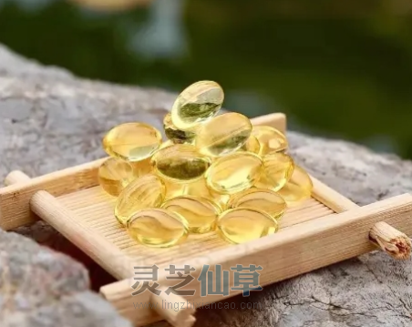 睡眠好疾病少！灵芝孢子油助眠有一套