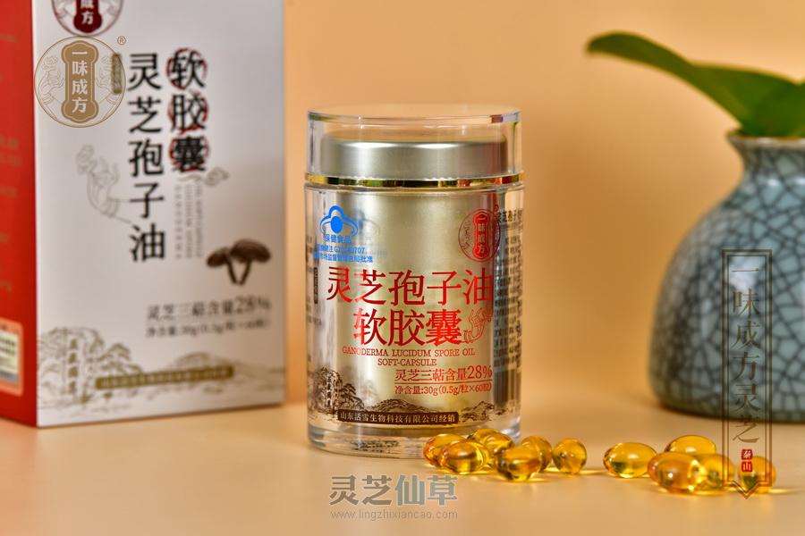 决定灵芝孢子油品质好坏的三个因素