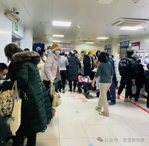 甲流肆虐！灵芝孢子粉提高免疫力，筑牢抗流感防线