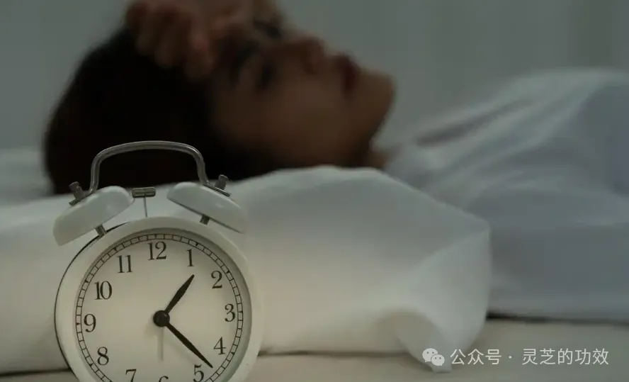 【失眠分型二】容易醒的脾胃失和型失眠，吃灵芝是如何改善的？