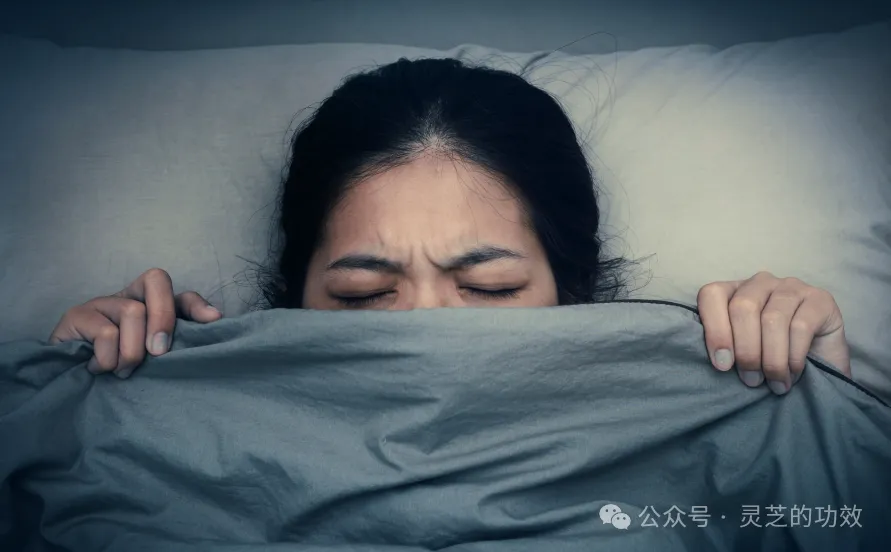 【失眠分型四】睡不着的身体亏虚型失眠，吃灵芝是如何改善的？