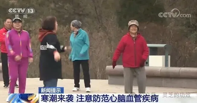 冬季心脑血管疾病高发！灵芝孢子粉为血管健康筑牢“暖防线”