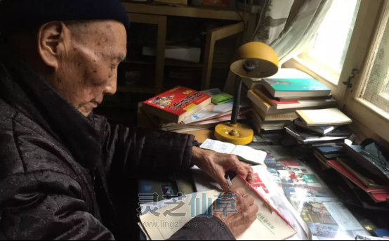 泰山老中医的药柜里，藏着无数人的“睡眠秘密”