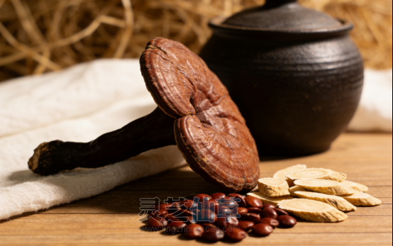 高手在民间：一味泰山灵芝调睡眠的土方子，传了好几代