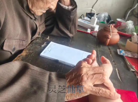 泰山灵芝，原来已在失眠土方里上百年