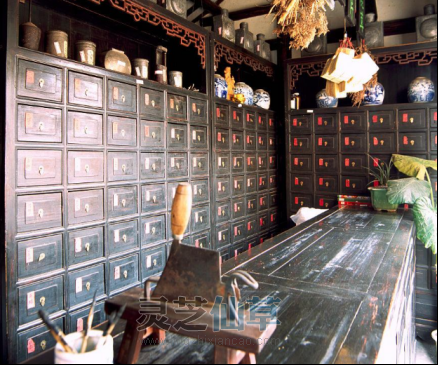 中医老土方保护之路：杨老先生的泰山灵芝睡眠方