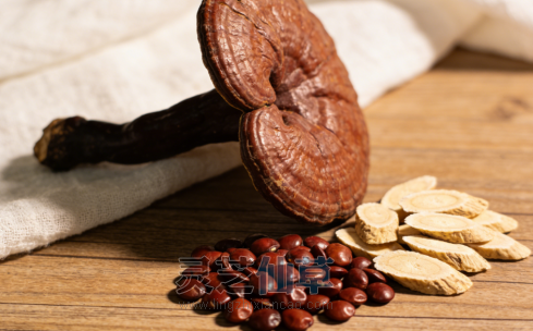 泰山灵芝，原来已在失眠土方里上百年