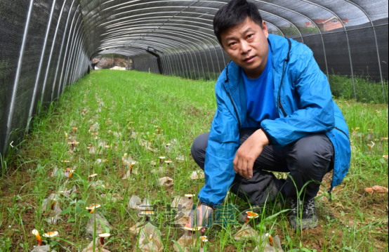 盗用一味成方品牌形象余烟未尽，同仁堂再陷磷虾油造假风波