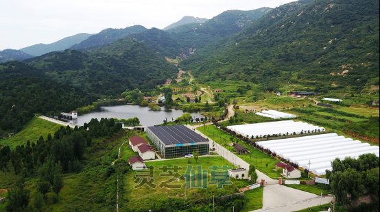 盗用一味成方品牌形象余烟未尽，同仁堂再陷磷虾油造假风波